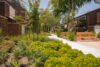 two wooden benches lush green shrubs and and trees with 2 story apartments building with balconies.