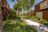 Smoothly paved path with green shrubs between two story apartments buildings