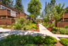 Smooth paved paths lined with lush greenery and mature trees and apartment buildings