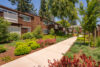 Pathway lined with red flowers and green shrubs and trees amongst the apartments buildings