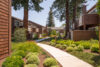 A pathway lined with low green shrubs and mature trees and apartment buildings