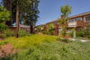 Low green shrubs and newly planted trees in front of apartment buildings