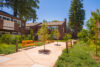 Three wooden benches between the two story apartment buildings three mature trees in the background