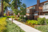 Smoothly paved path with green shrubs between two story apartments buildings