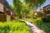 Concrete walkway winding through residential complex Wood shingle townhouses with balconies and large windows Lush landscaping with native plants and mature trees